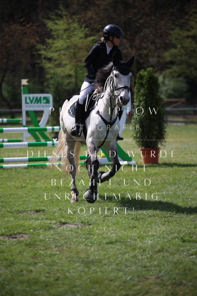 IMGT5459 | pl-fotografie