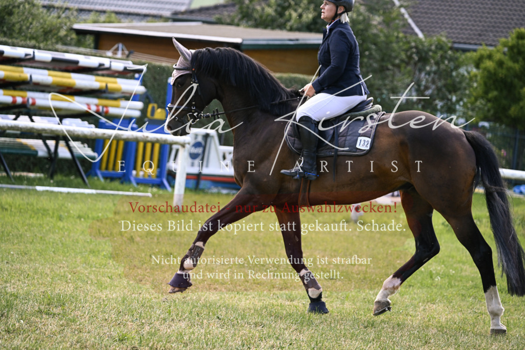 DSC_0548 | Pferde- und Turnierfotografie in Westsachsen. Pferdeportraits, Auftragszeichnungen und intuitive Kunst.