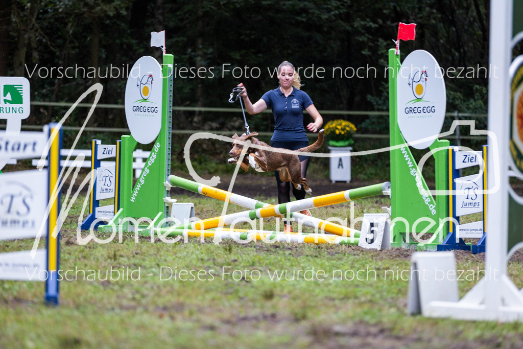 HB-JaD-030 | MomenTaufnahmen Pferdesportfotos