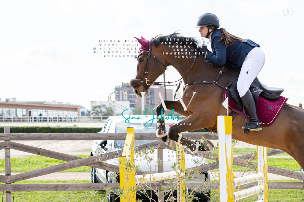 IMG_2598 | s-jay-photography - Realisiert mit Pictrs.com