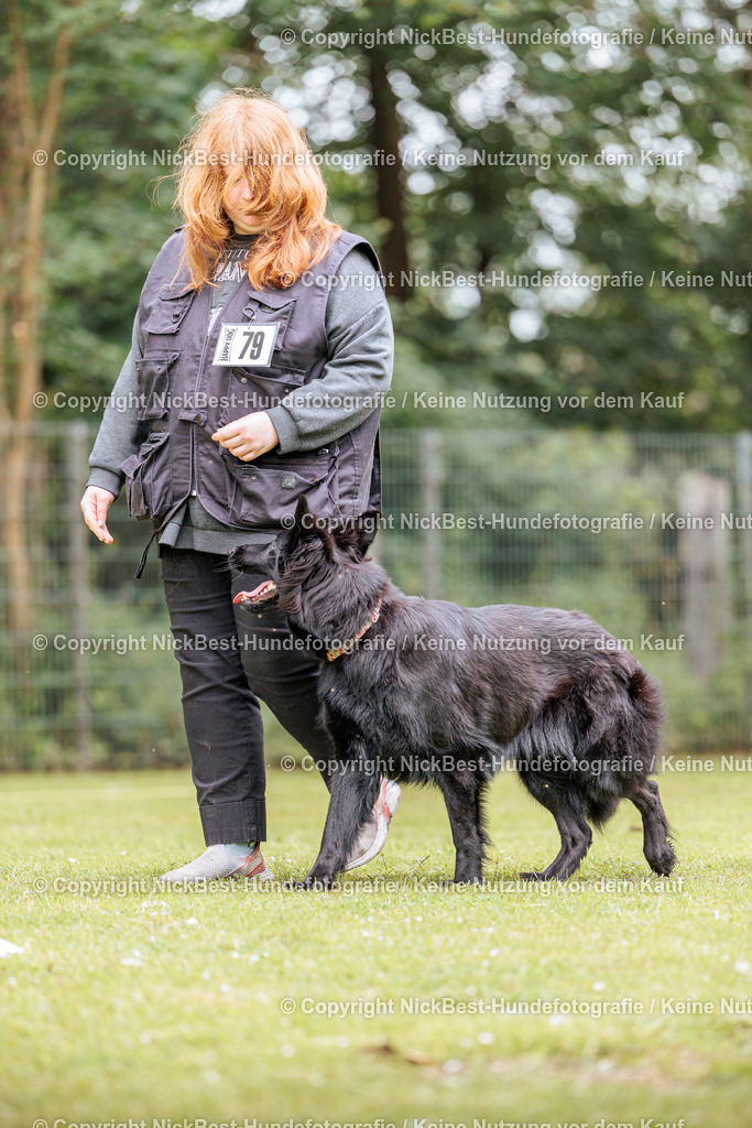 RO-Blumenthal-2026-Nickbest-Hundefotografie-3317 | Dein Hund! Dein Moment! Deine Erinnerungen! Hundefotografie in Bremen Blumenthal. Ich fange die besonderen Momente deines Vierbeiners ein – ob Indoor mit Blitzanlage oder in der freien Natur. Sicher dir dein Moment und dein Termin für eure Erinnerungen.