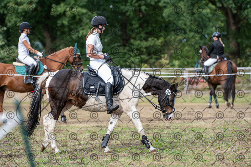 SHT_7515 | andre_photographic