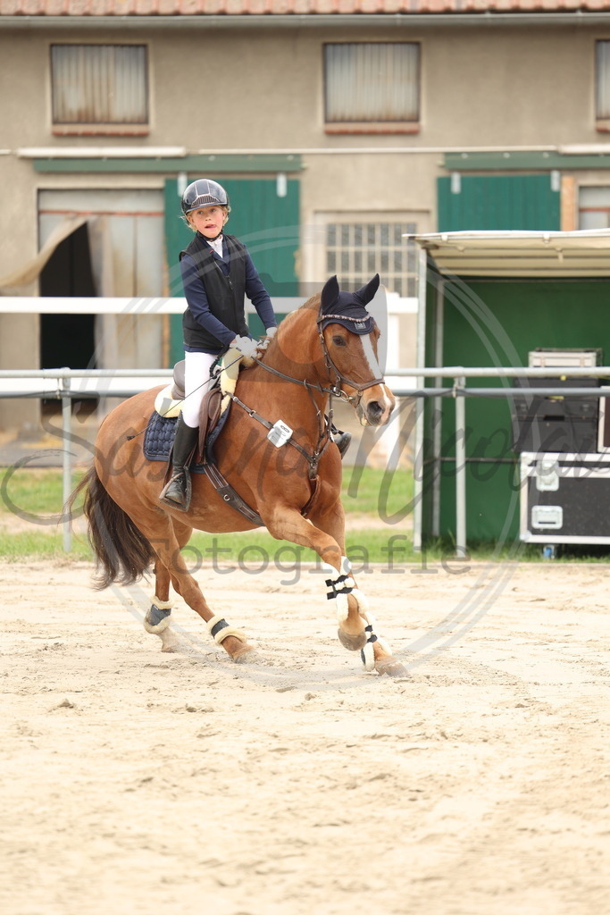 994A8862 | sabrinanicolaifotografie - Realisiert mit Pictrs.com