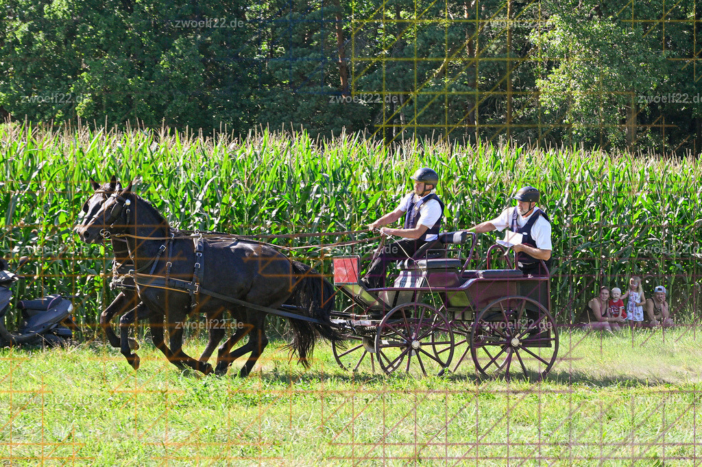 30 Jahre RFV Pulsnitz e.V., Pulsnitz am 09.08.2026 | 30Jahre Reit- und Fahrverein Pulsnitz e.V., Pulsnitz am 08.08.2026Zur 28. breitensportlichen Veranstaltung des RFV Pulsnitz e.V. fanden verschiedene Wettbewerbe in nahezu allen Disziplinen des Pferdesport statt.- Geländefahr-Wettbewerb - Realisiert mit Pictrs.com