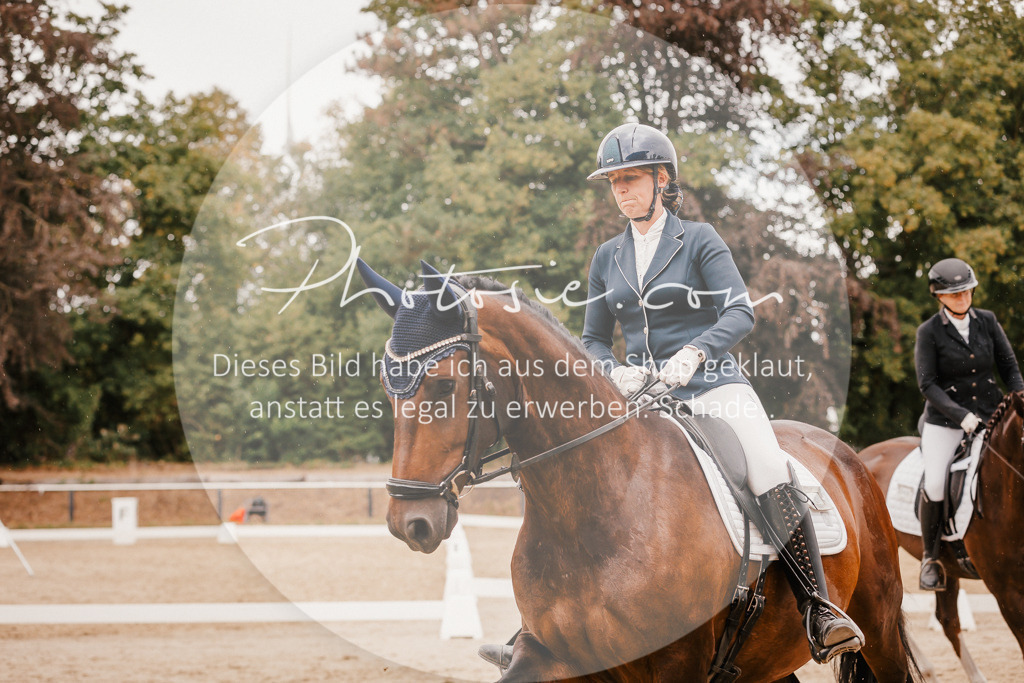 3I6A6442 | Stimmungsvolle Portraits und Reitsportfotografie im Ruhrgebiet und im Münsterland.

Pferdefotografie, Hundefotografie, Tierfotografie, Reportagen, Portraits von Tier und Mensch, Turnierfotografie in Bochum, Recklinghausen, Marl, Haltern am See, Dülmen.. - Realisiert mit Pictrs.com