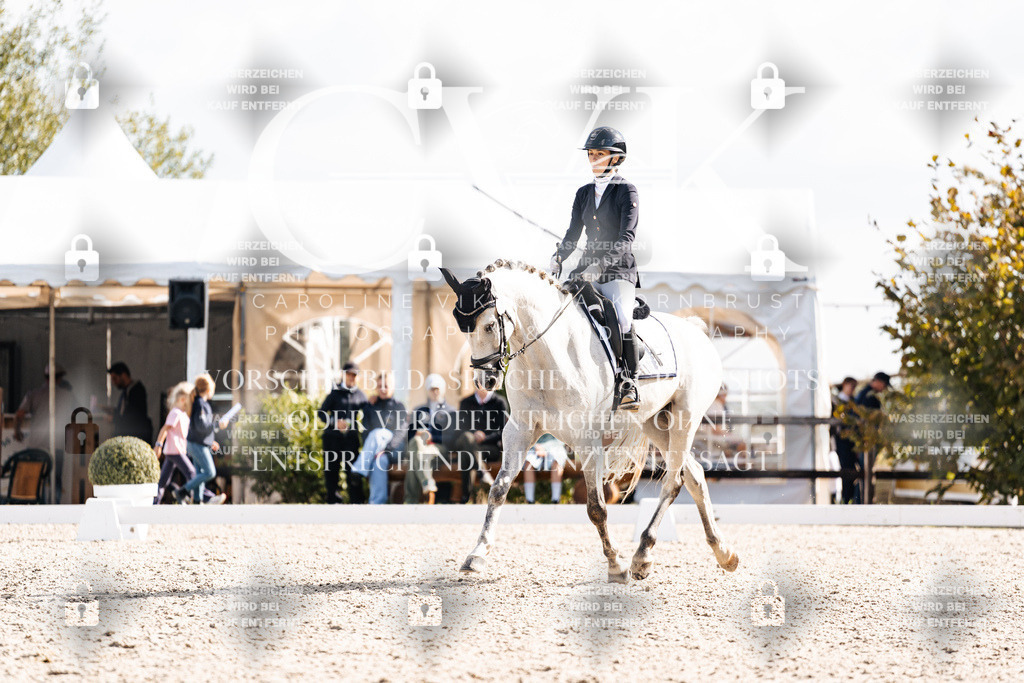 CK902009 | Turnierfotografie Pferdefotografie Trier Rheinland-Pfalz Pferdesport Reitsport Tierfotografie Sportfotografie Pferdevideo Pferdevideografie Equestrianvideography equestrianphotography  - Realisiert mit Pictrs.com