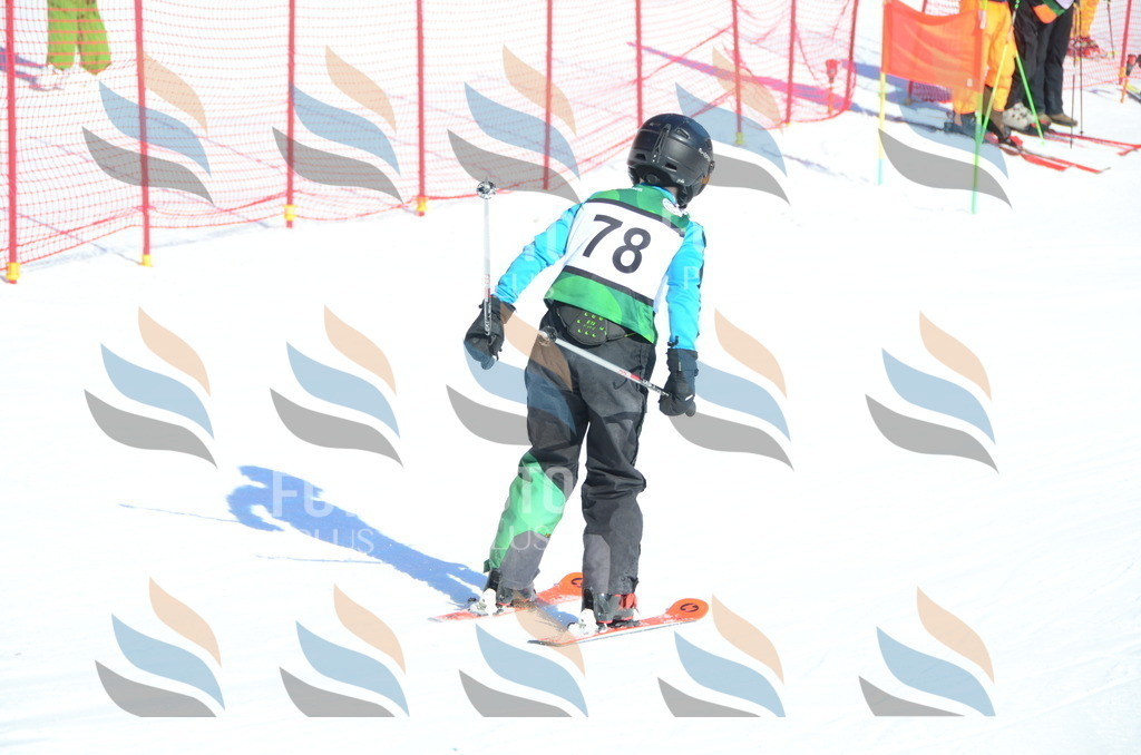 C5560 | holidayphoto