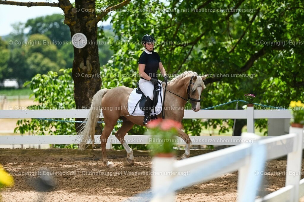 20230715_09_Dressur-WB_0515 | equistock