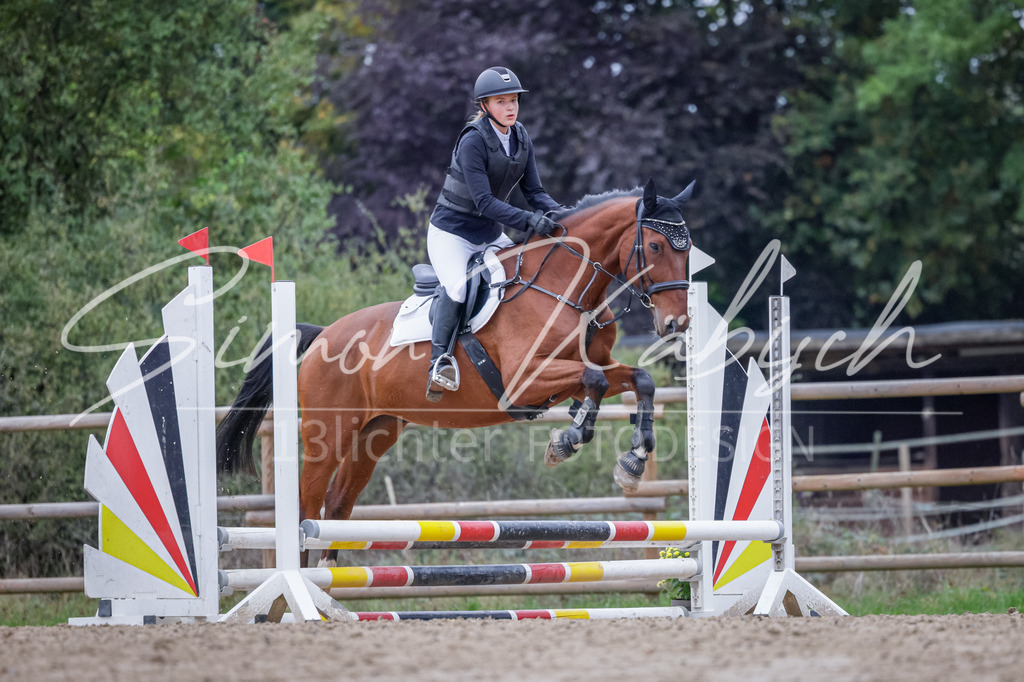 20251012-_3LI2977 | Tierfotografie Pferde, Hunde, Katzen, Haustiere.
Turnierfotografie Reitturniere, Reiten, Springreiten, Dressur in Hanau, dem Main-Kinzig-Kreis und dem Rhein-Main- Gebiet um Frankfurt