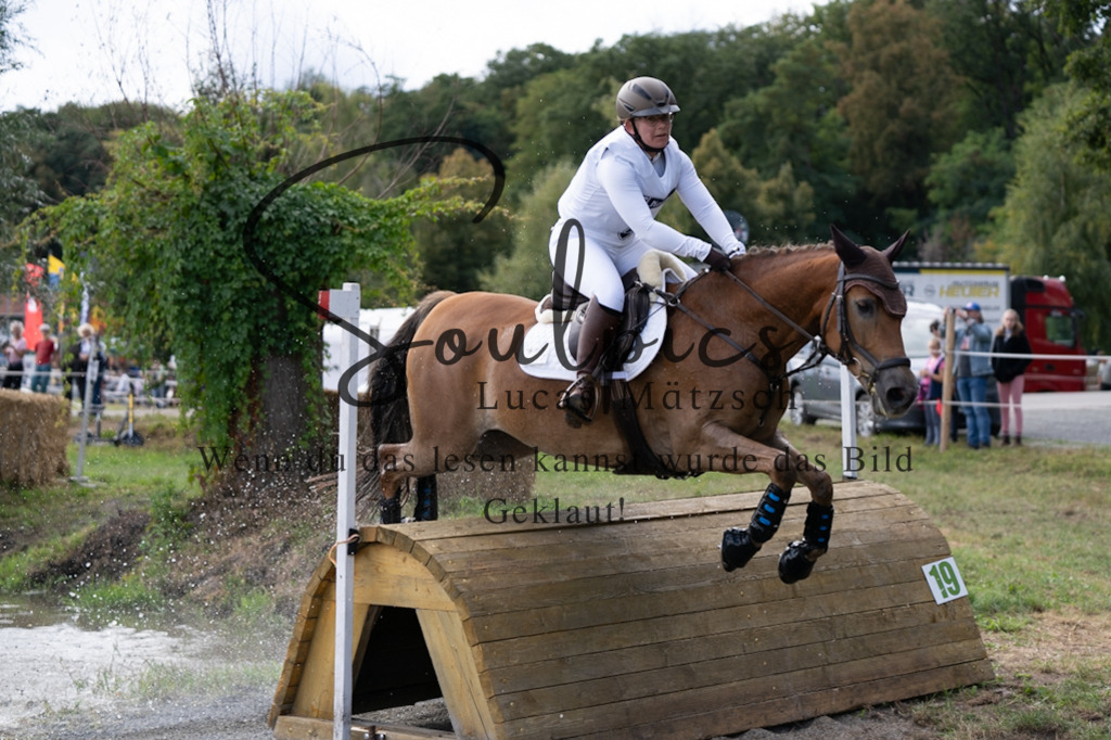 A7V01122 | Pferdefotograf