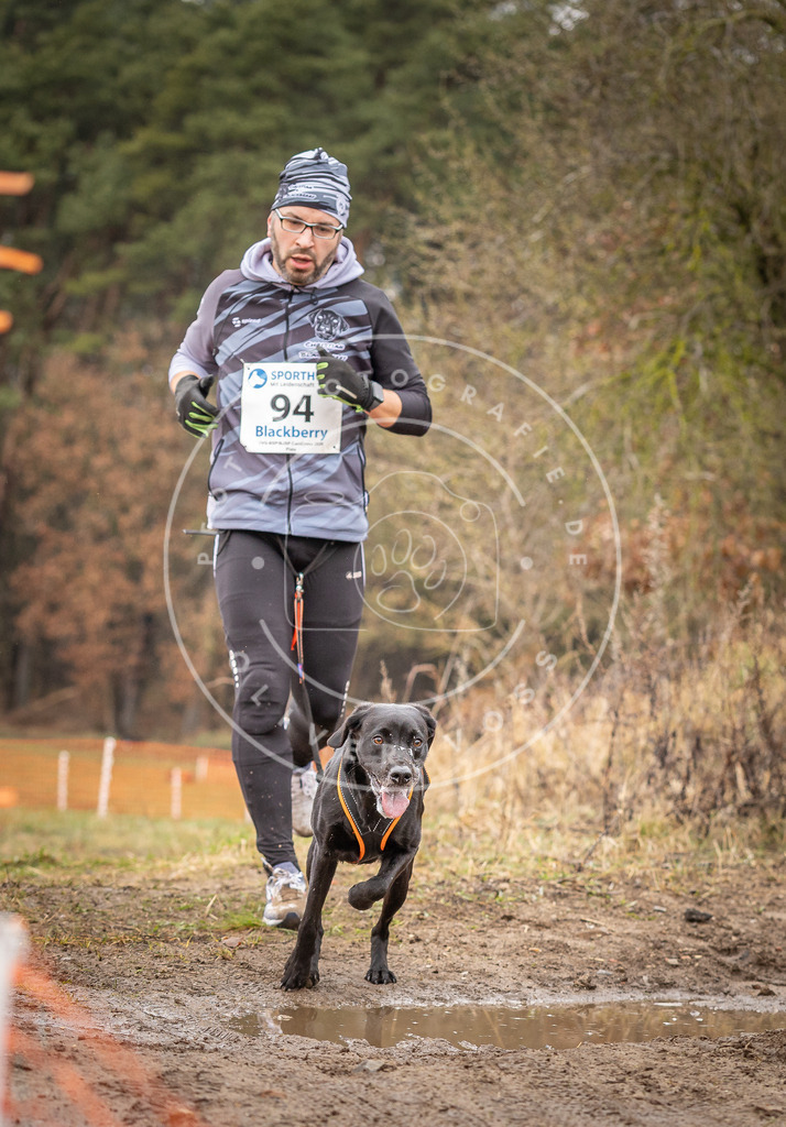 DV3A0511 | Hundefotografie, Tierfotograf, Pfotenfotografie, Fotoshooting Hund, Hunde Portrait, Hundesport, Hundeportraits, Heideshooting, Hunde, Sportfotograf, Hundefotograf, Turnierhundsport, THS,  - Realisiert mit Pictrs.com