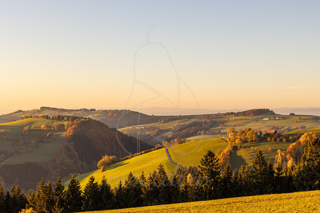 Herbst_Randegg_Hoch_Oben_Mostdirn_Irmgard_Wieser-6208 | Ihre Fotografin im Lungau, ihre Fotografin im Mostviertel, Wandbilder Onlineshop, Imagefotos für Ihr Unternehmen,  - Realisiert mit Pictrs.com