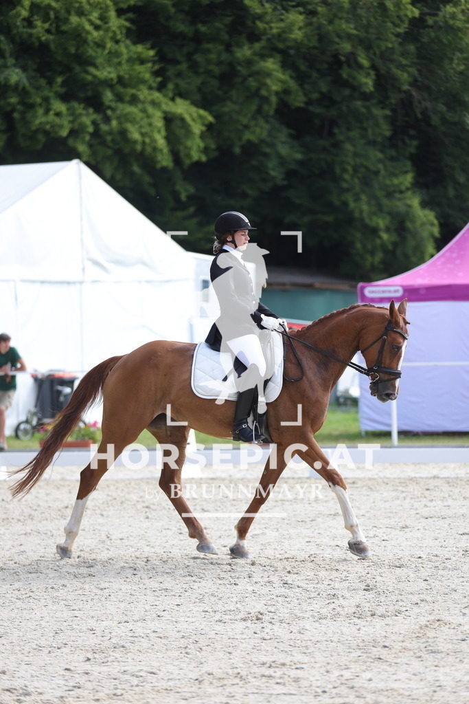 0P6A5013 | Willkommen bei Brunnmayr - Design & Fotografie – Ihrem Spezialisten für Reitturniere und Pferdeveranstaltungen in Oberösterreich, Salzburg und Bayern! Seit über 17 Jahren sind wir leidenschaftlich dabei.