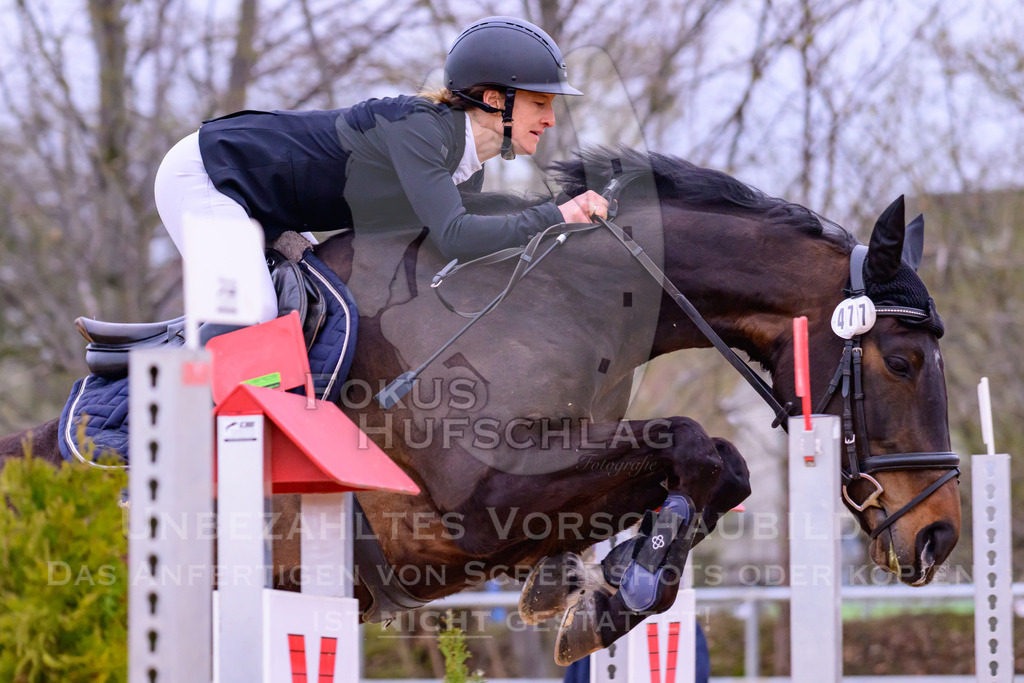 10042026-Mammendorf-Prfg19-0325 | Fokus Hufschlag Fotografie - Realisiert mit Pictrs.com