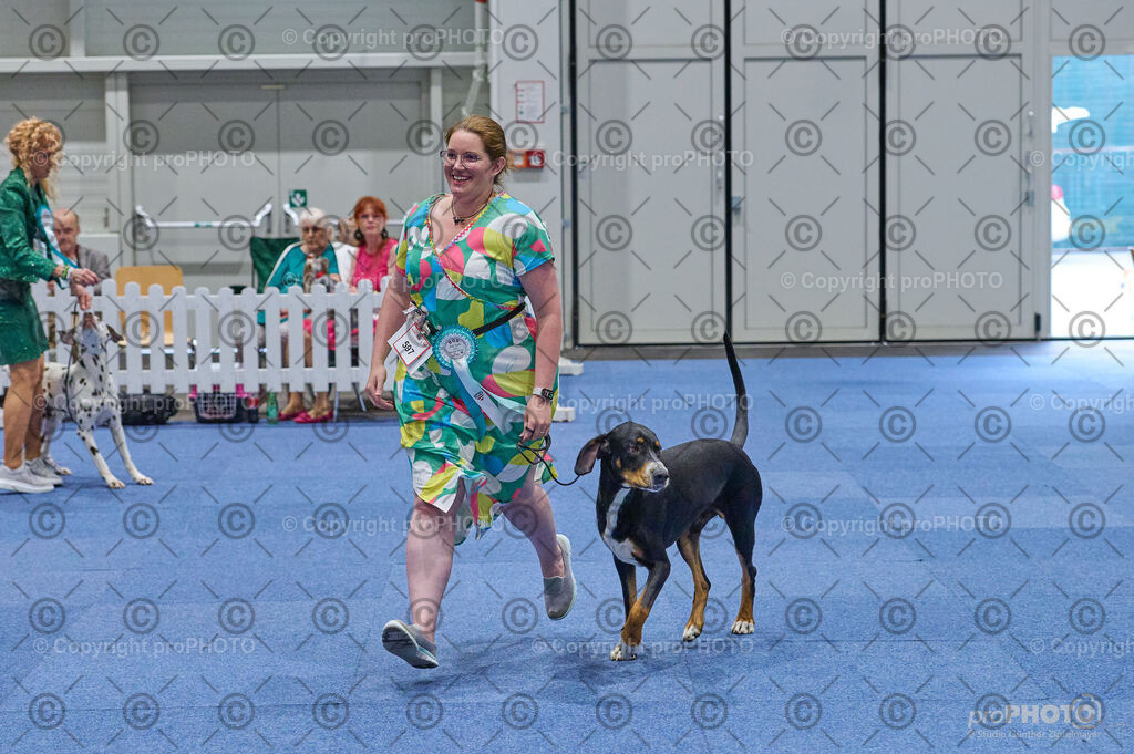 202406_ÖKV-IHA-Tulln24_DSC_3099 | proPHOTO - Realisiert mit Pictrs.com