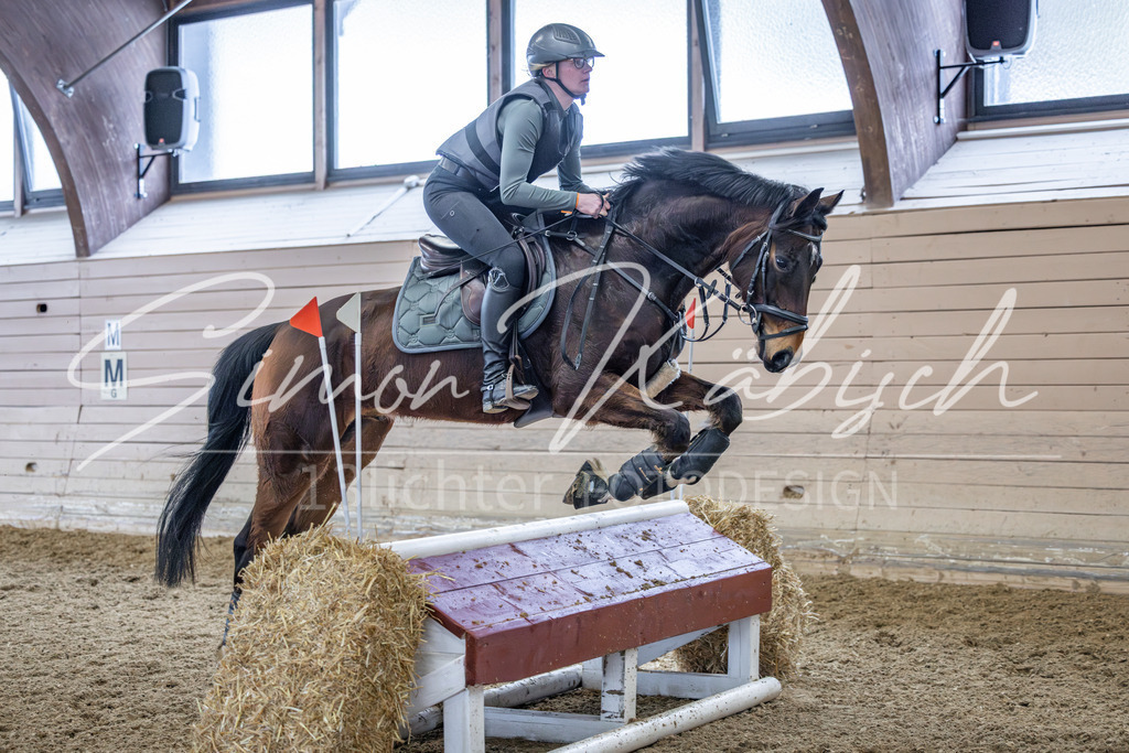 20260221-_3LI0126 | Tierfotografie Pferde, Hunde, Katzen, Haustiere.
Turnierfotografie Reitturniere, Reiten, Springreiten, Dressur in Hanau, dem Main-Kinzig-Kreis und dem Rhein-Main- Gebiet um Frankfurt