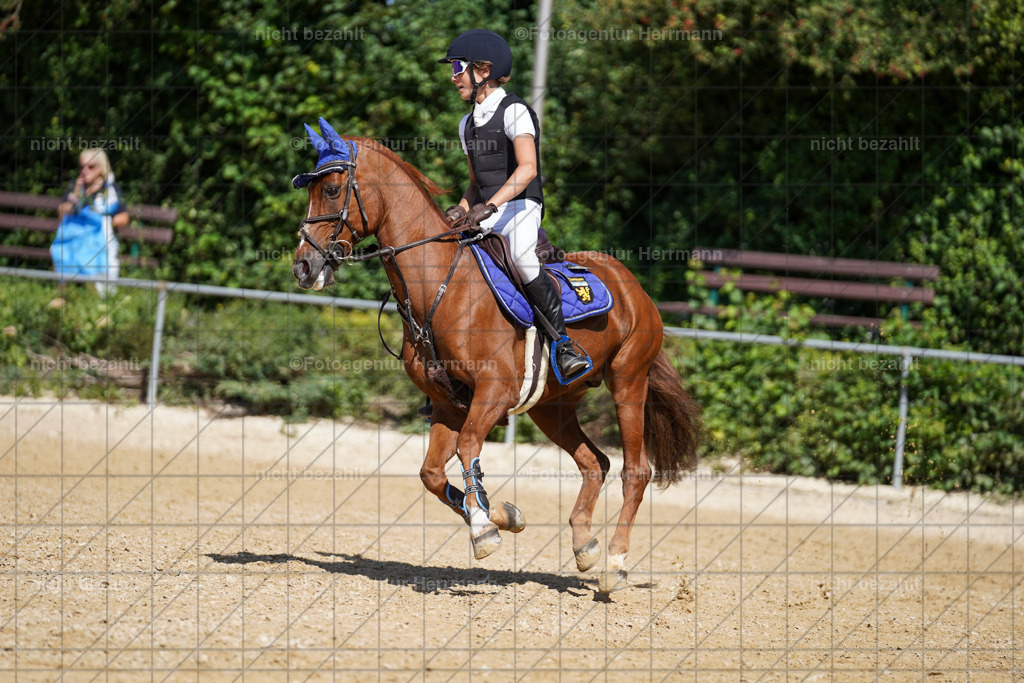20240824-FAH08188 | Thierhaupten 2024, Bayerisches Landesponyturnier, Turnierbilder, Ponybilder, Turnierfotografen Bayern, Fotoagentur Herrmann