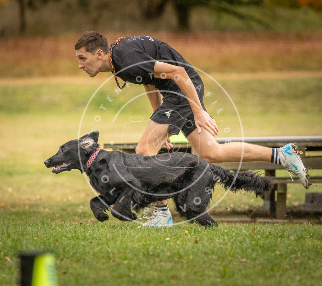 Pfotenfotografie_DV3A7655 | Hundefotografie, Tierfotograf, Pfotenfotografie, Fotoshooting Hund, Hunde Portrait, Hundesport, Hundeportraits, Heideshooting, Hunde, Sportfotograf, Hundefotograf, Turnierhundsport, THS,  - Realisiert mit Pictrs.com