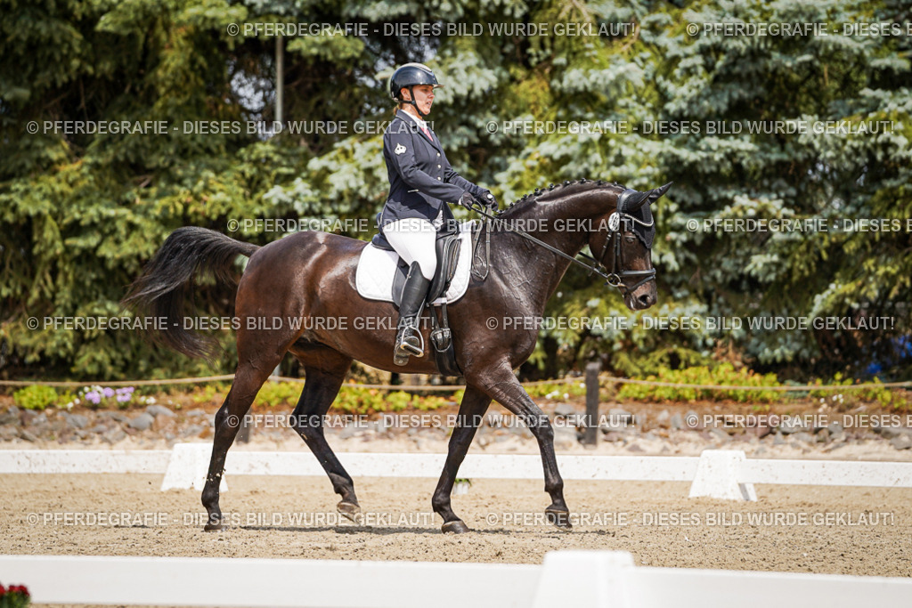 DSC02845 | Pferdegrafie