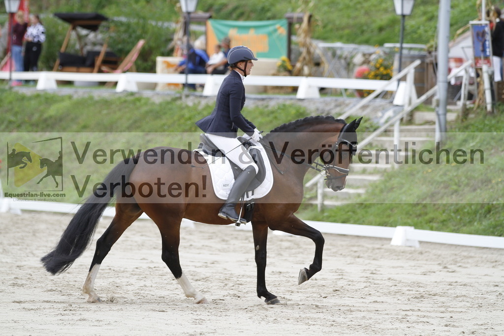 _MG_4287 | equestrian-live-com