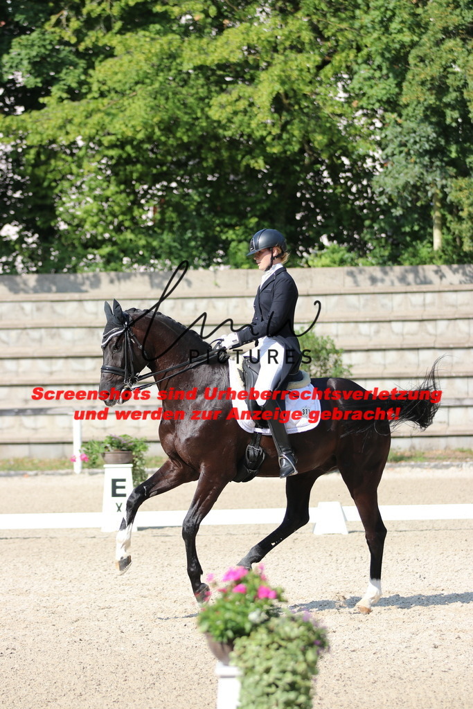 IMG_9239 | lmwpictures - Realisiert mit Pictrs.com