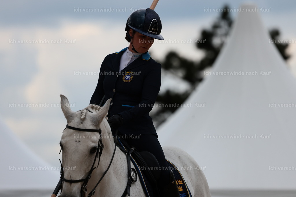 PI26_ST_StoibphotographyC2_L9071.JPG | working equitationturnier fotograf videograf stoibphotography marixx film working equitation deutschland reitsport turnierfotografie eventfotografie equestrian events