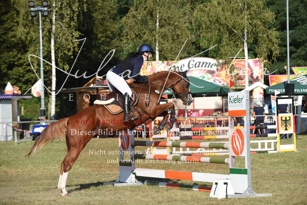 DSC_5161 | Pferde- und Turnierfotografie in Westsachsen. Pferdeportraits, Auftragszeichnungen und intuitive Kunst.