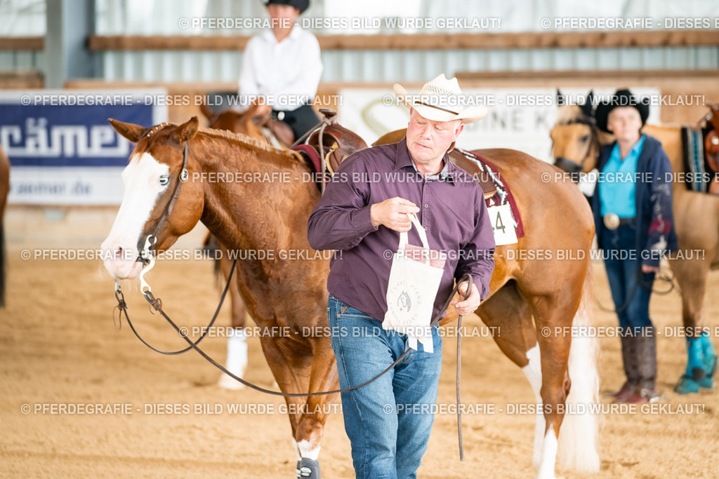 DSC02491 | Pferdegrafie