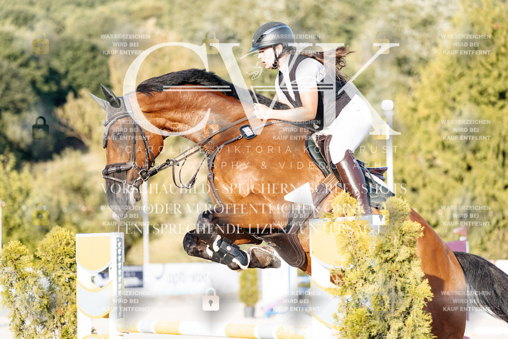CK900813 | Turnierfotografie Pferdefotografie Trier Rheinland-Pfalz Pferdesport Reitsport Tierfotografie Sportfotografie Pferdevideo Pferdevideografie Equestrianvideography equestrianphotography  - Realisiert mit Pictrs.com