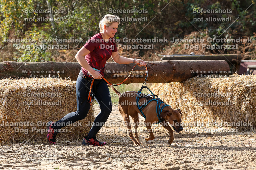 Dog Paparazzi - Strongdog 10-25-5799 | Dog Paparazzi Jeanette Grottendiek Fotografie & Videografie - Realisiert mit Pictrs.com