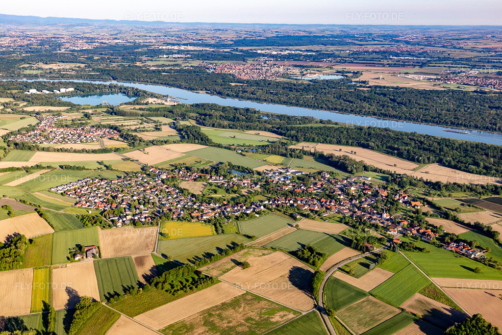 Luftbild: Fluß- Uferbereichen des Rhein in Diersheim im Ortsteil Diersheim in Rheinau im Bundesland Baden-Württemberg in Deutschland. Foto: IMG_114984.jpg vom 01.06.2019 durch Werner Riehm/FLY-FOTO.de