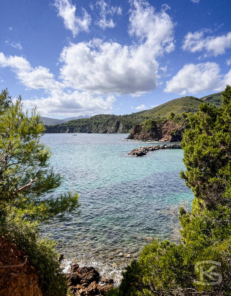 Versteckte Bucht: Blick durch Pinien auf das azurblaue Elba – Wandbild | Blick aus erhöhter Position durch grüne Pinienzweige auf eine Meeresbucht auf Elba mit kristallklarem Wasser, Felsformationen an der Küste und weißen Schönwetterwolken über den Hügeln. - Realisiert mit Pictrs.com