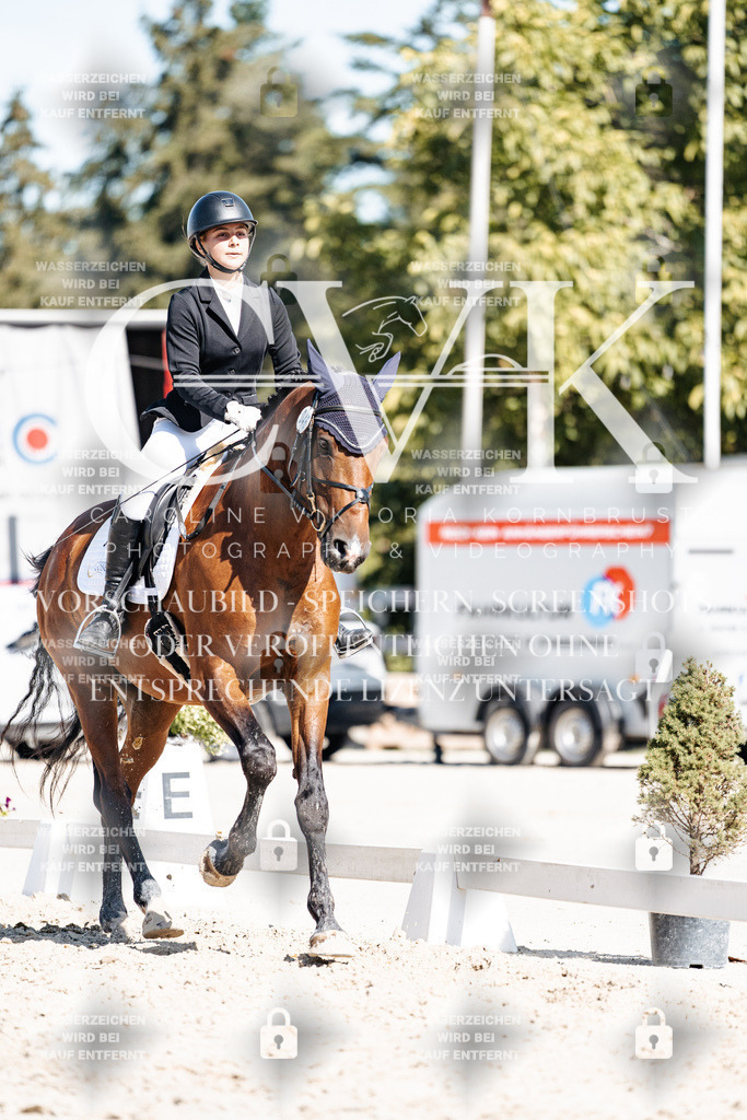 CK908755 | Turnierfotografie Pferdefotografie Trier Rheinland-Pfalz Pferdesport Reitsport Tierfotografie Sportfotografie Pferdevideo Pferdevideografie Equestrianvideography equestrianphotography  - Realisiert mit Pictrs.com