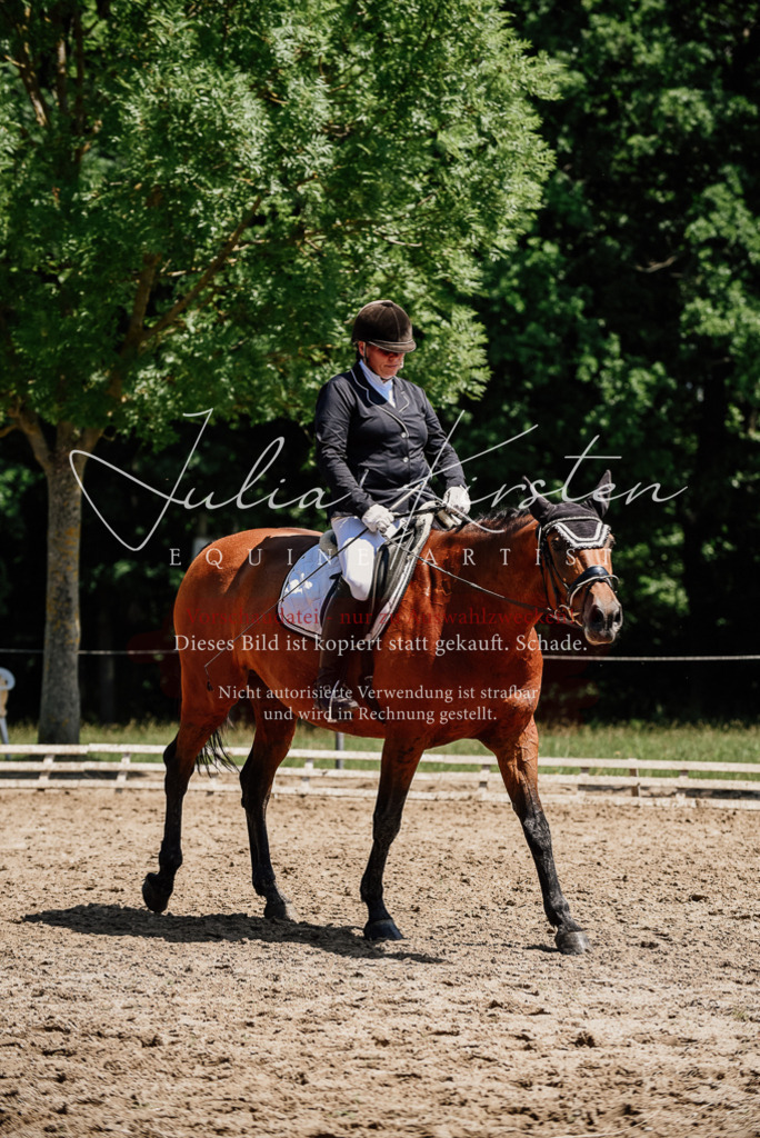 DSC_2034 | Pferde- und Turnierfotografie in Westsachsen. Pferdeportraits, Auftragszeichnungen und intuitive Kunst.