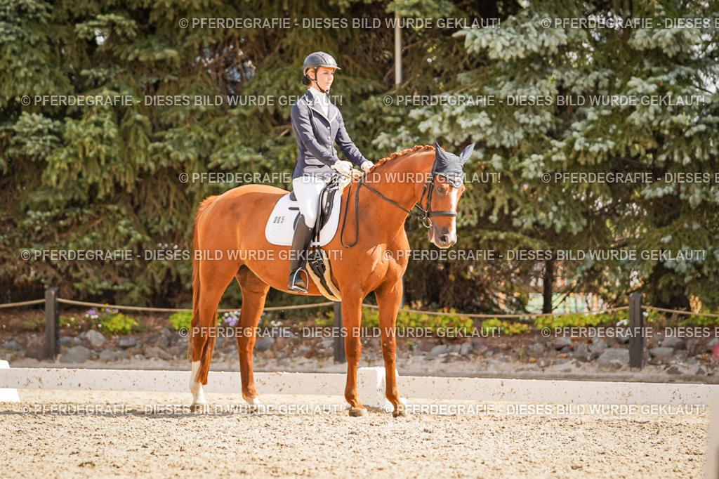 DSC01089 | Pferdegrafie