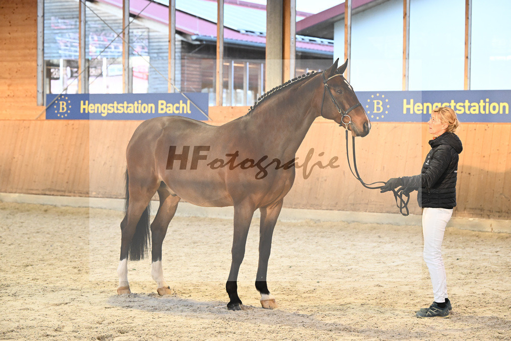 Vigaro_7240877 | hf-fotografie - Realisiert mit Pictrs.com