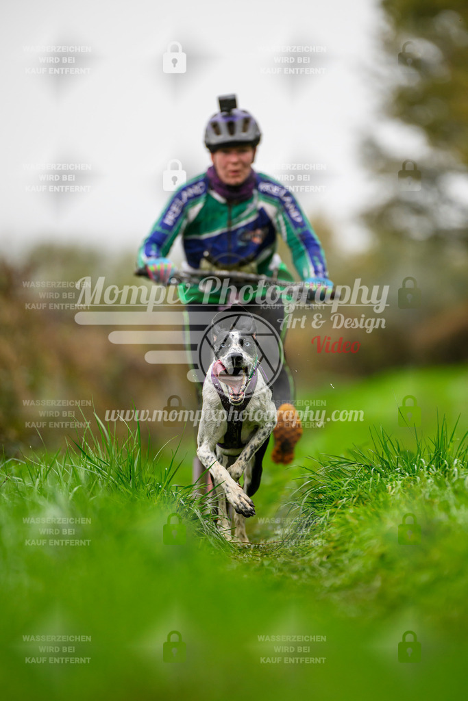 MompixPhotography_20TSB_E8_DS1-67 | PayLife