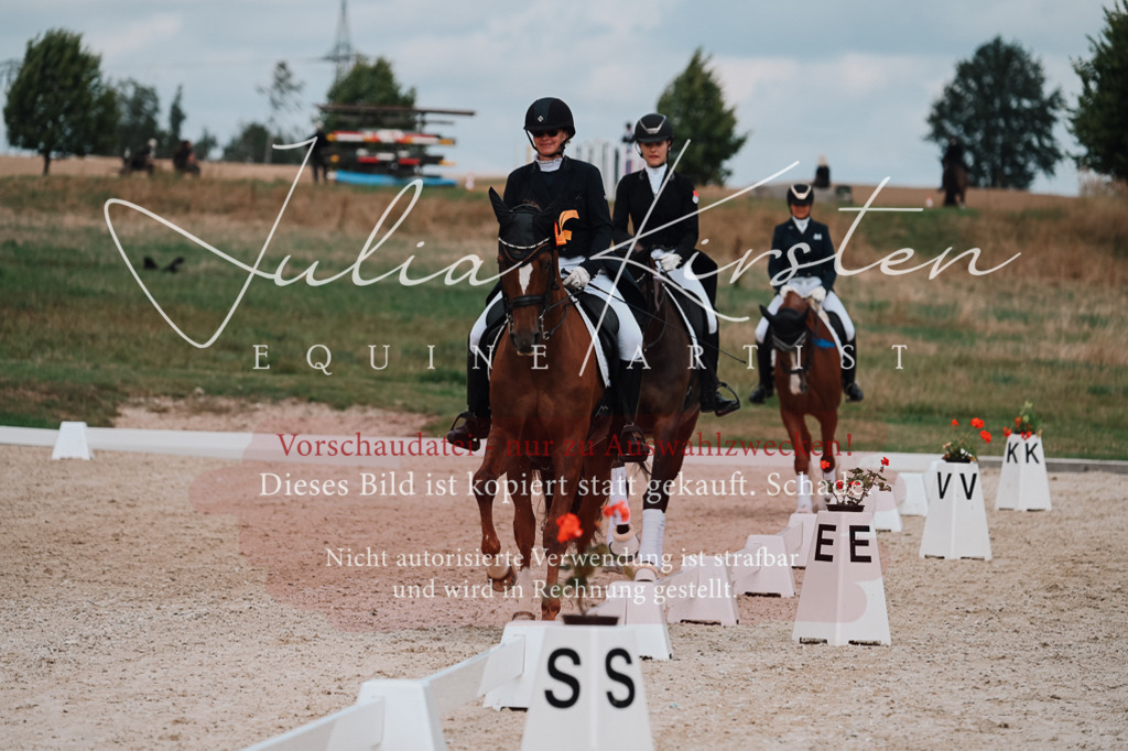 DSC_4133 | Pferde- und Turnierfotografie in Westsachsen. Pferdeportraits, Auftragszeichnungen und intuitive Kunst.