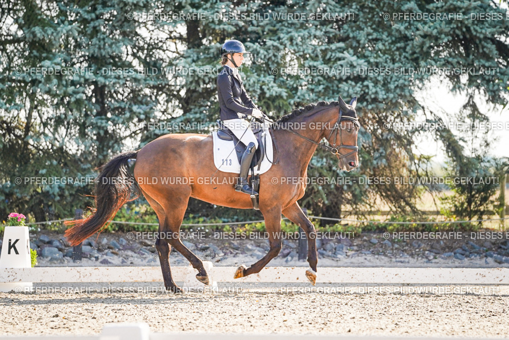 DSC09423 | Pferdegrafie