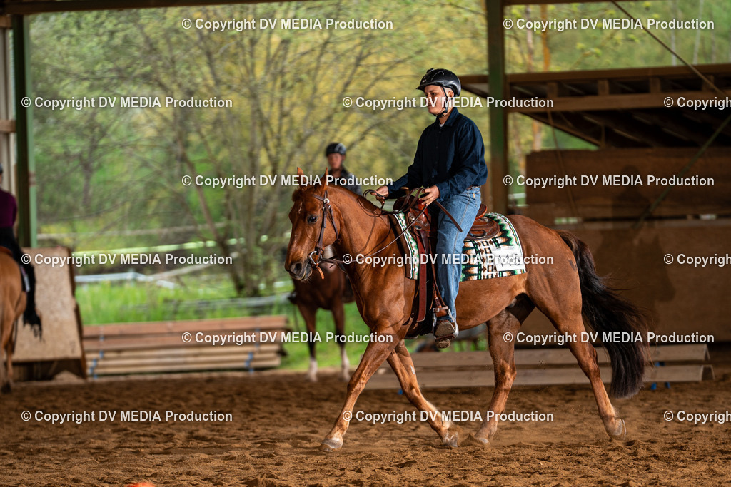 Balingen Tag 3-511 | dv-media-shop - Realisiert mit Pictrs.com