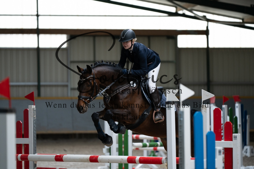 A7V07066 | Pferdefotograf