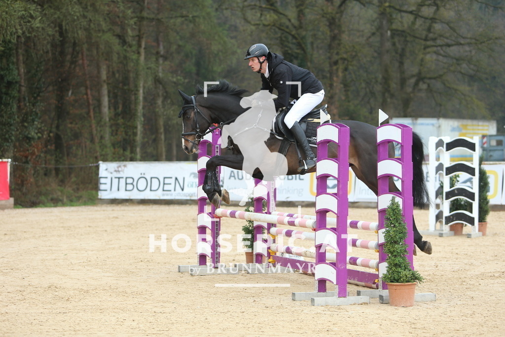 DL2Q8571 | Willkommen bei Brunnmayr - Design & Fotografie – Ihrem Spezialisten für Reitturniere und Pferdeveranstaltungen in Oberösterreich, Salzburg und Bayern! Seit über 17 Jahren sind wir leidenschaftlich dabei.
