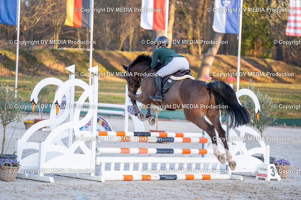 DSC-272 | dv-media-shop - Realisiert mit Pictrs.com