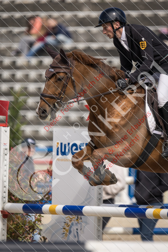 IMG_4908 | Sport-, Event- und Tierfotos in Profiqualität. Einfach auswählen, bestellen und herunterladen. Dein Moment – perfekt festgehalten.