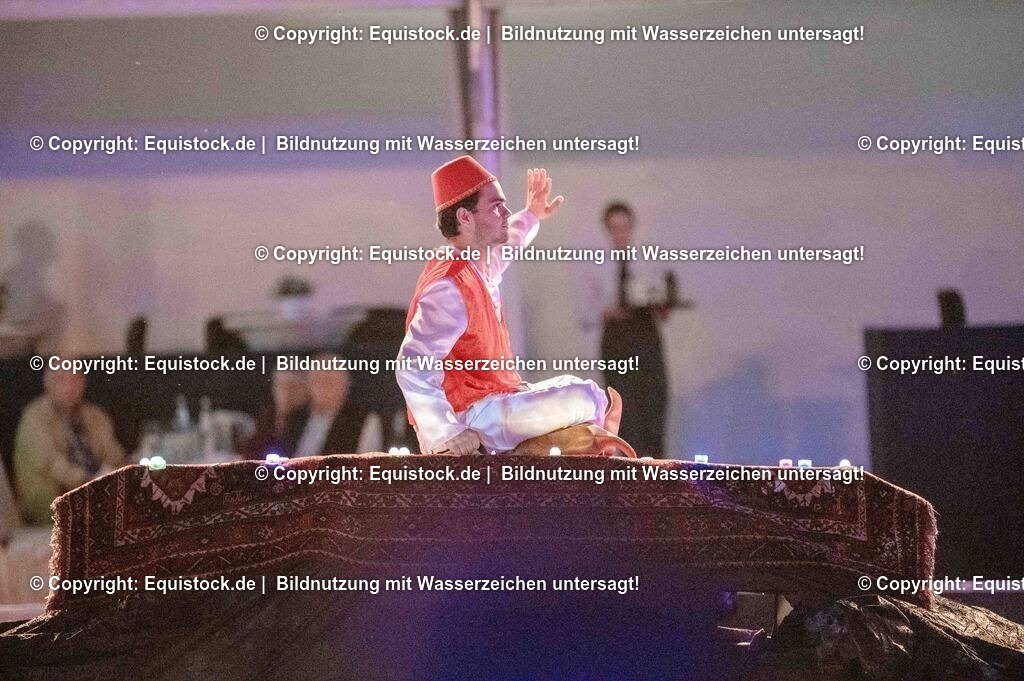 20250606_Lange-Pferdenacht_1407 | Foto: Thomas Hartig