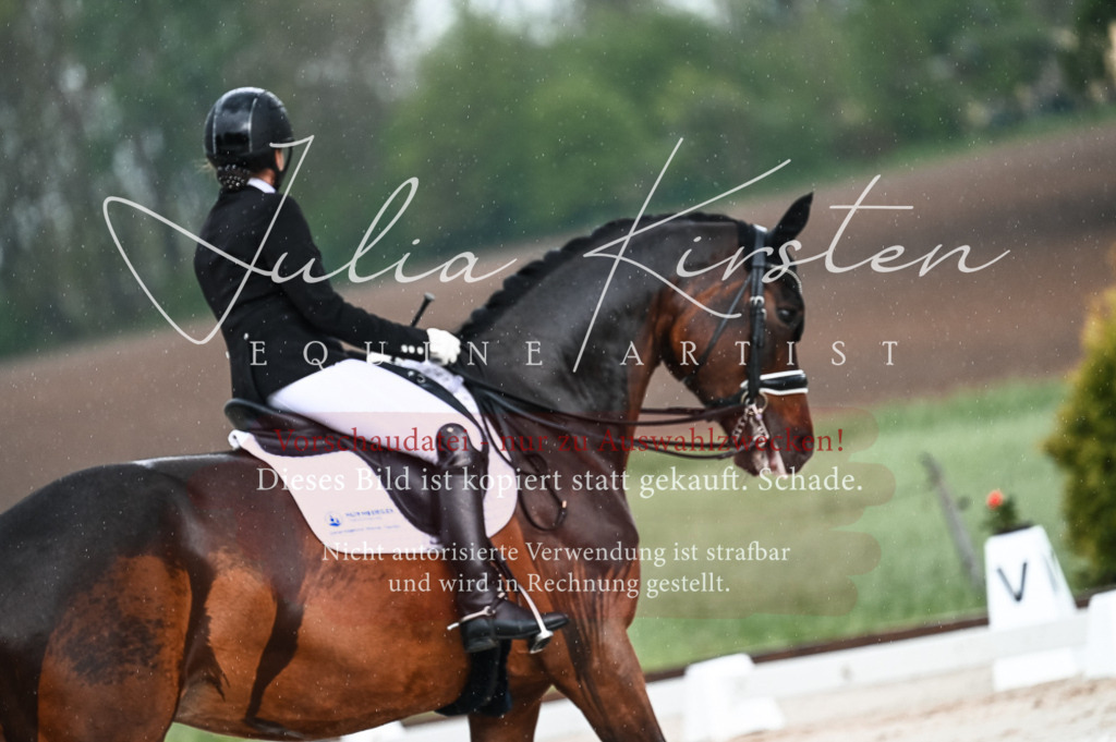 DSC_4185 | Pferde- und Turnierfotografie in Westsachsen. Pferdeportraits, Auftragszeichnungen und intuitive Kunst.