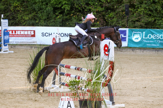 DKP42671 | Turniersportfotografie; Pferdefotografie; Dressurfotografie