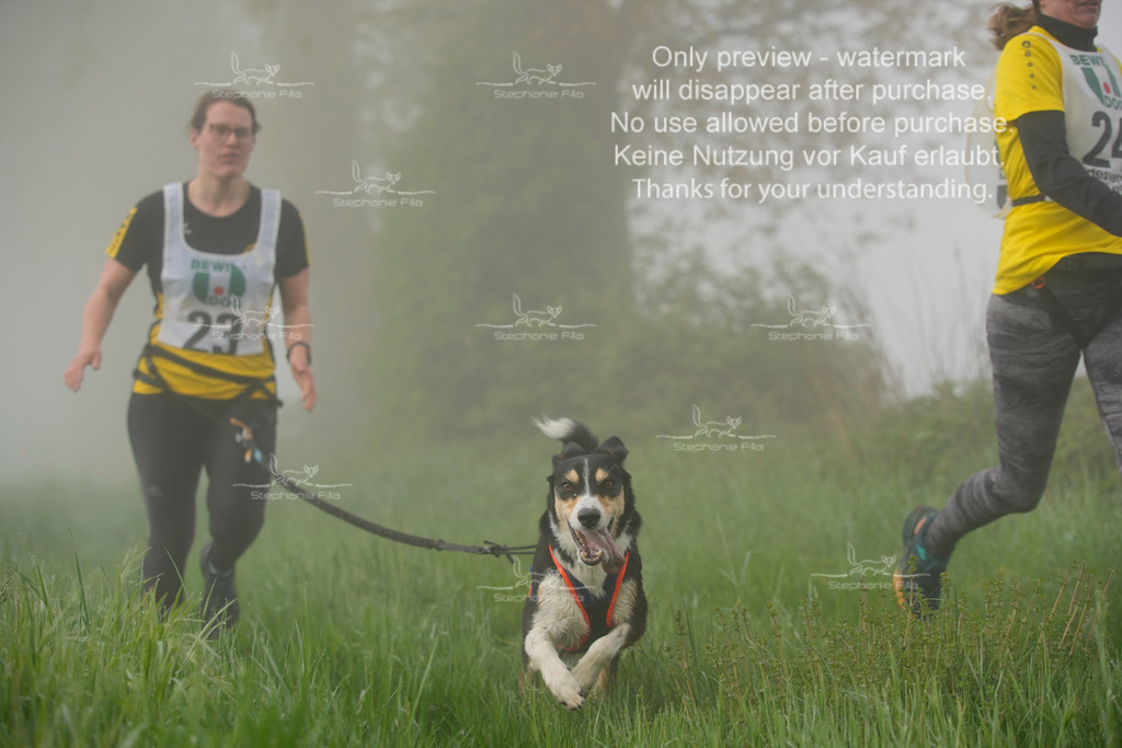 SA_GL2-130 | stephaniefillaphotographie - Realisiert mit Pictrs.com