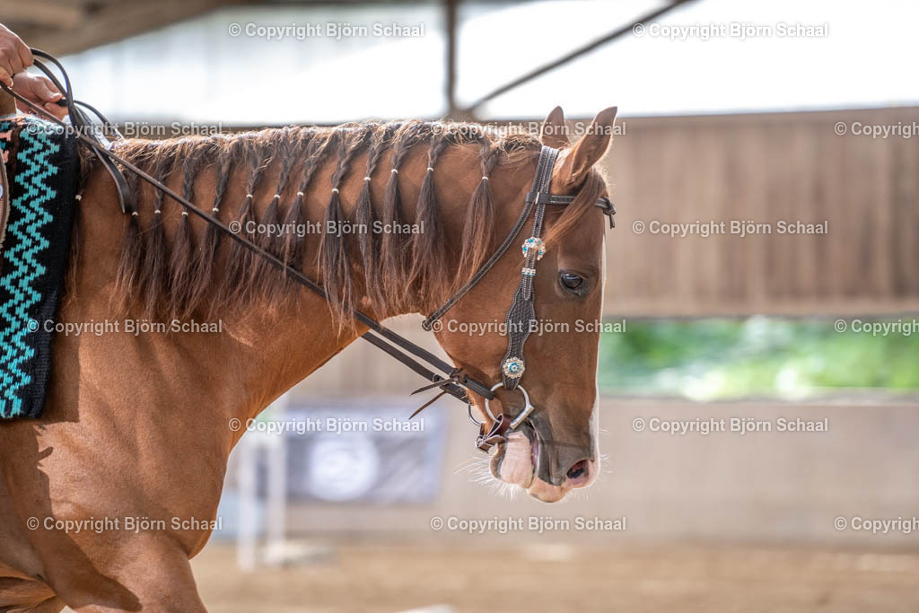 LMB08674 | BS-foto