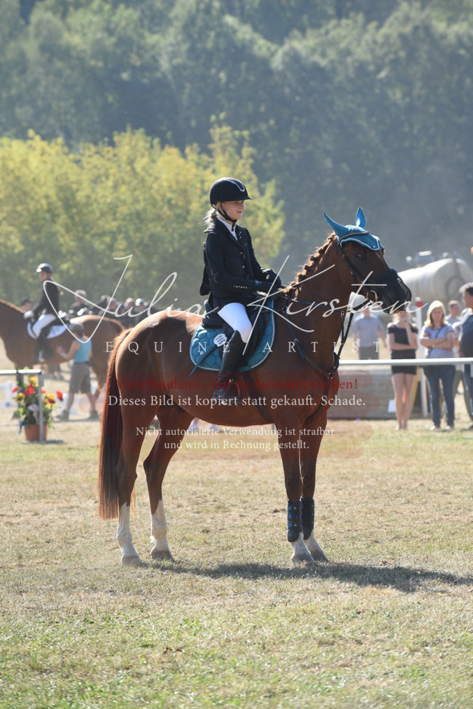 DSC_6047 | Pferde- und Turnierfotografie in Westsachsen. Pferdeportraits, Auftragszeichnungen und intuitive Kunst.